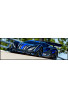 Traxxas X-01 Blue X w/TSM