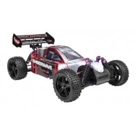 Redcat Shockwave Nitro Buggy 1/10 Scale (Red)