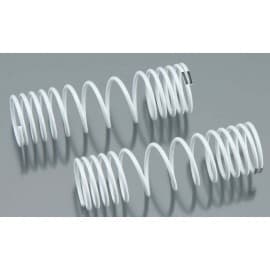 Springs rear progressive (2)